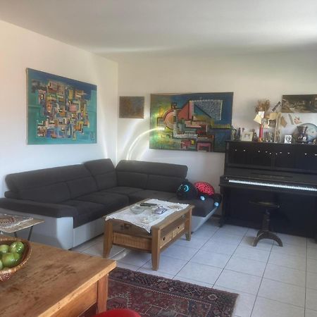 Casa Landoni Apartment Mendrisio Ngoại thất bức ảnh